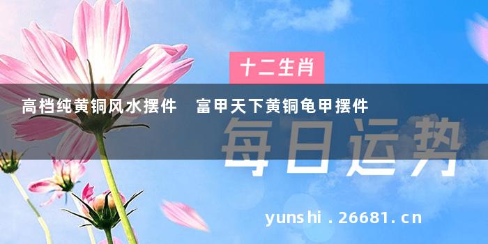 高档纯黄铜风水摆件 富甲天下黄铜龟甲摆件